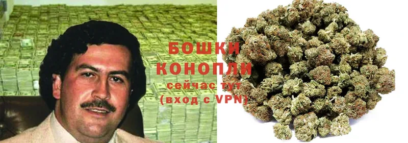 OMG как войти  Мураши  Шишки марихуана THC 21% 